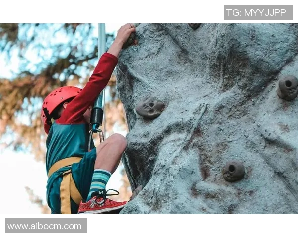 上海攀岩队在攀岩比赛中创下新高经验排名引发广泛关注与赞誉